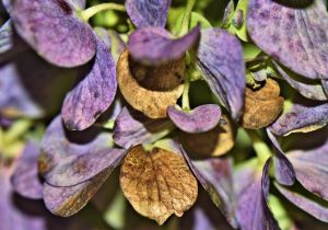 Turning Point b is for blessed devotional 10-2015