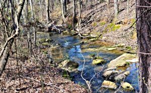 BLESSED STREAM 2015 DEVOTIONAL