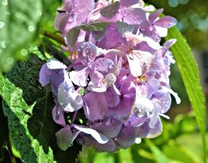 Imperfect devotional b is for blessed 7-2015