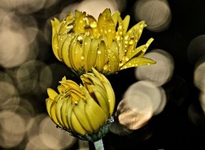 Featured Image -- 2230